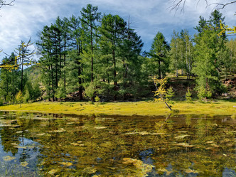 Similar image 22040861