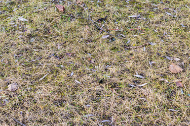 Similar image 22040075