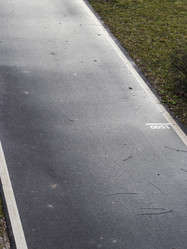 Similar image 22040082