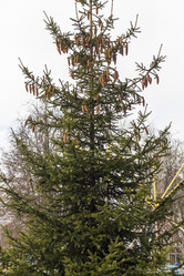 Similar image 22040088