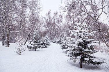 Similar image 22049763