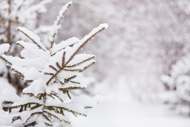 Similar image 22049765