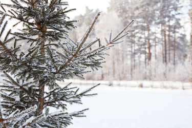 Similar image 22049769