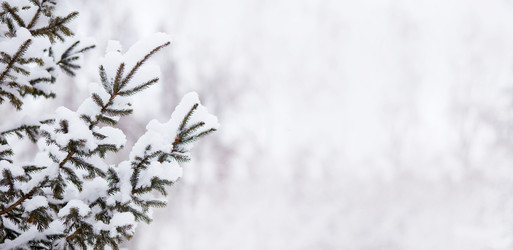 Similar image 22049773