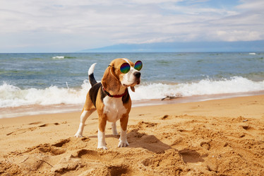 Similar image 22049775