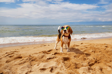 Similar image 22049782