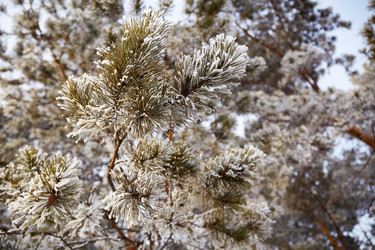 Similar image 22049785