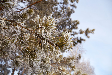 Similar image 22049788