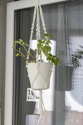 Similar image 22040128