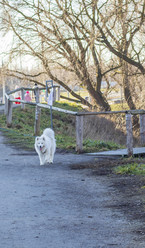 Similar image 22040134