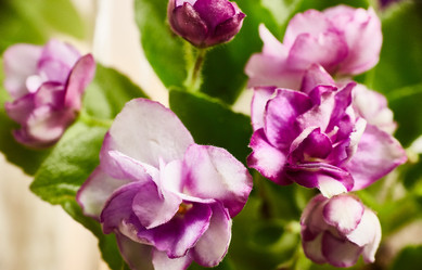 Similar image 22040406