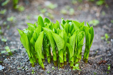 Similar image 22040412