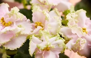 Similar image 22040413