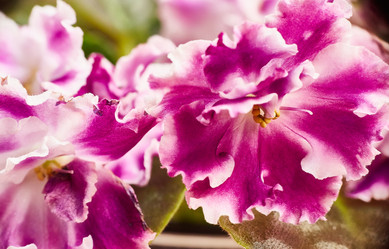 Similar image 22040414