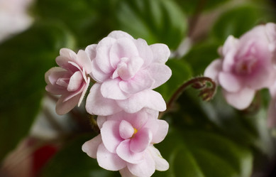 Similar image 22040416