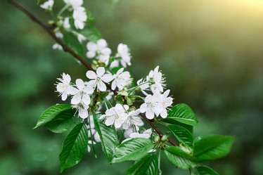 Similar image 22040424