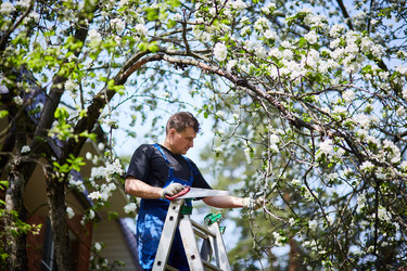 Similar image 22040433