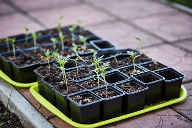 Similar image 22040445