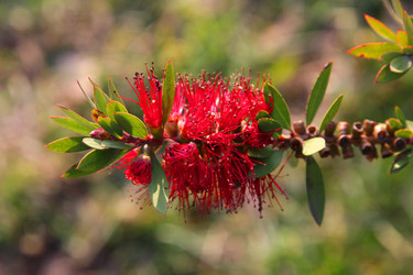 Similar image 22039937