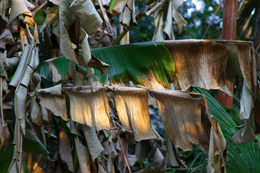 Similar image 22039938