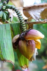 Similar image 22039939