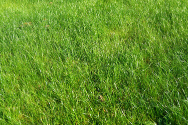 Similar image 22040136