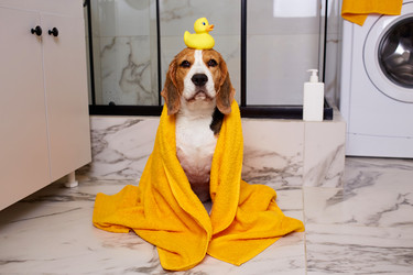 Similar image 22049801