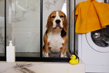 Similar image 22049803