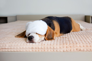 Similar image 22049811