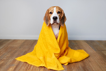 Similar image 22049817