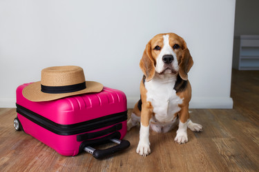 Similar image 22049822