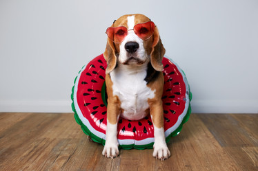 Similar image 22049823