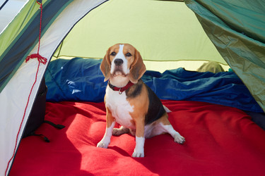 Similar image 22049826