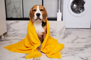 Similar image 22049833