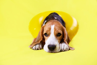 Similar image 22049837