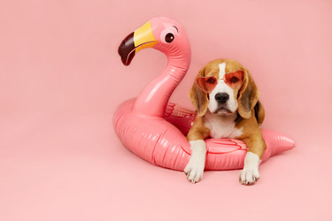 Similar image 22049838