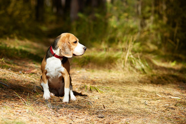 Similar image 22049839