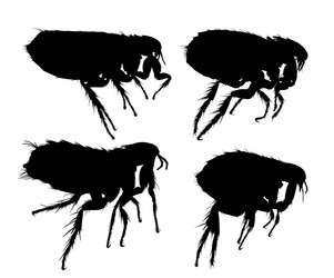 Similar image 22040138