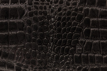 Similar image 22040336