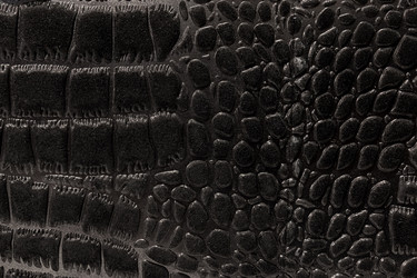 Similar image 22040338