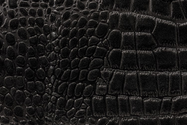 Similar image 22040340