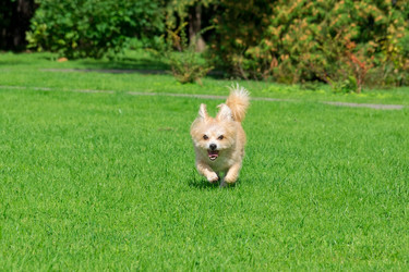 Similar image 22040345