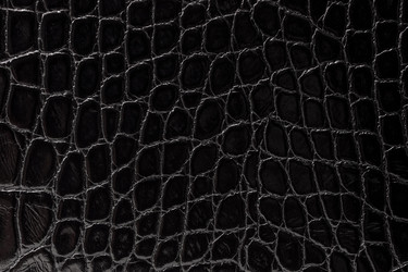 Similar image 22040346