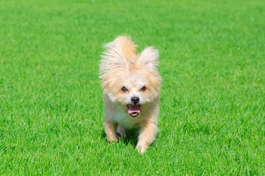 Similar image 22040347