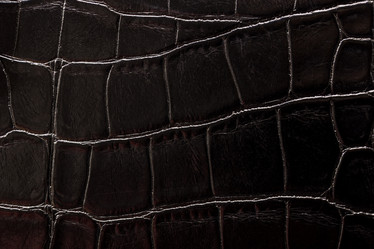 Similar image 22040350