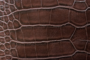 Similar image 22040352