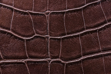 Similar image 22040354