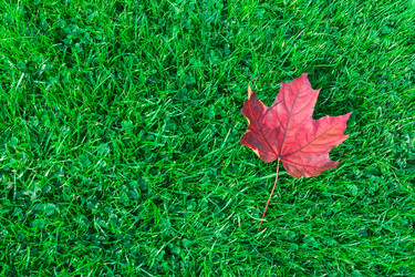 Similar image 22040357