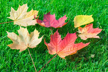 Similar image 22040361