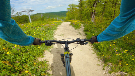 Similar image 22042701